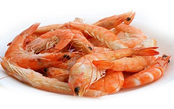 prawns