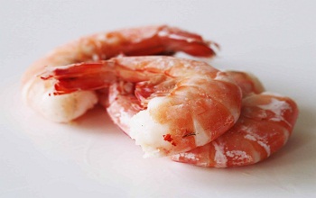 shrimps