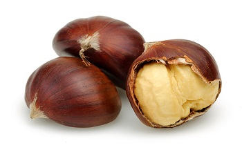 Chestnut