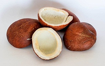 dryCoconut