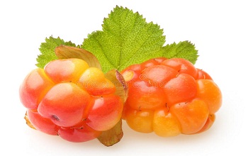 Cloudberry