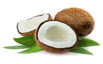 Coconut