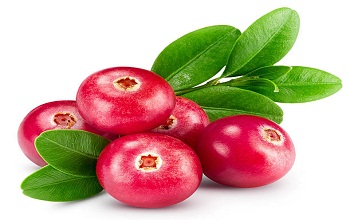 Cranberry