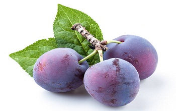 Damson