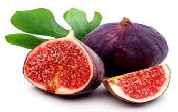 Fig