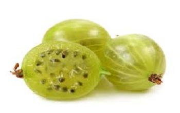 Gooseberry