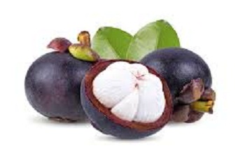 Mangosteen