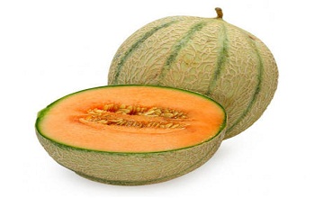 Muskmelon