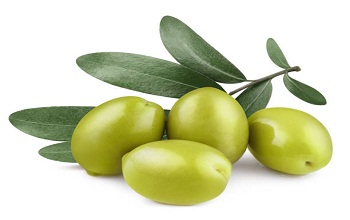 Olive fruit