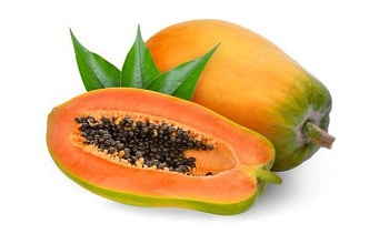 Papaya