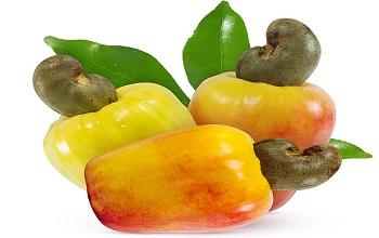 cashewapple