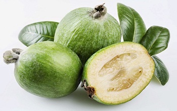 feijoa