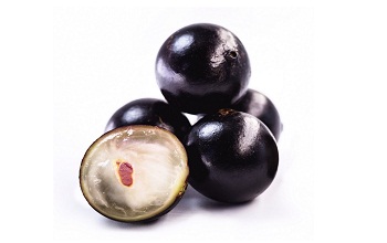 jabuticaba