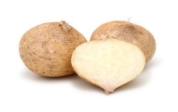 jicama fruit