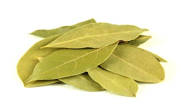 Bay leaf, Indian