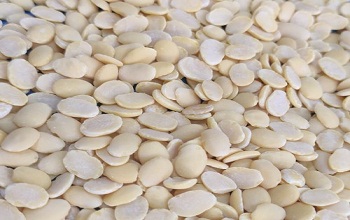 Field Beans