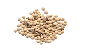 White Pepper