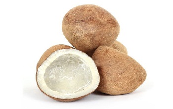 dry coconut