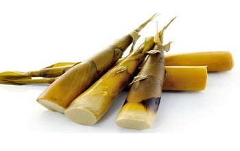 Bamboo Shoot or Asparagus