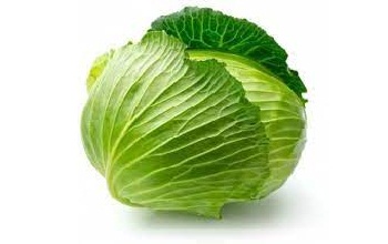 Cabbage