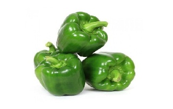 Capsicum