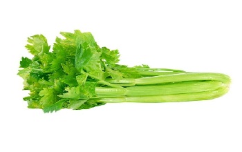 Celery