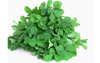 Fenugreek Leaf