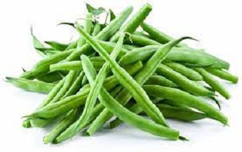 Green Long Beans