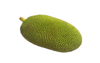 Jackfruit