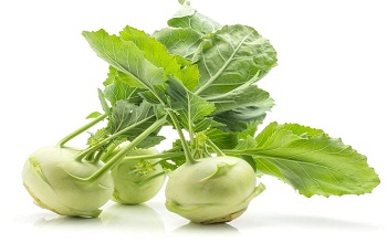 Kohlrabi