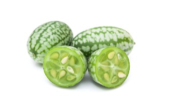 Mouse Melon