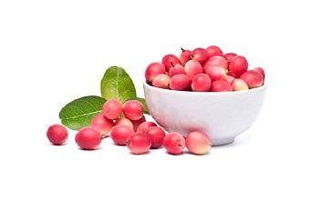 Natal Plum