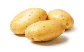 Potato