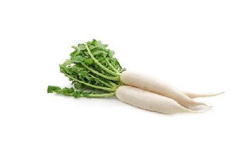 Radish