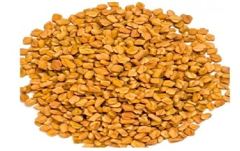 Fenugreek seeds