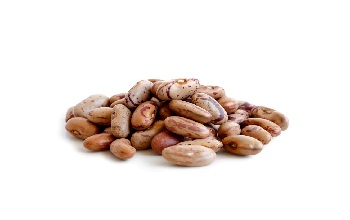 Pinto Beans