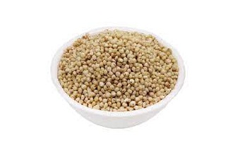 Sorghum