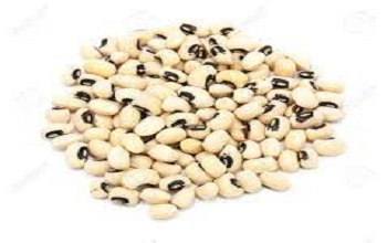 Cowpea