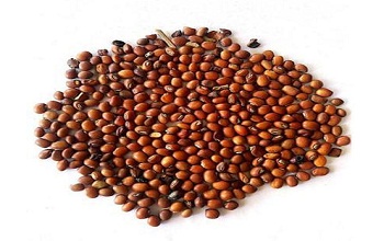 Red gram (Pigion pea)