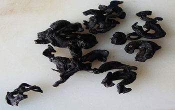 Black Turmeric