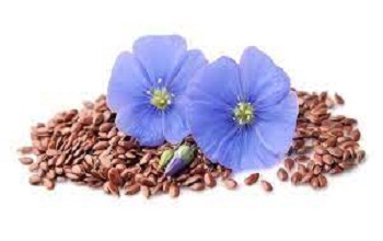 Flax