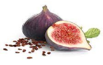 Fig