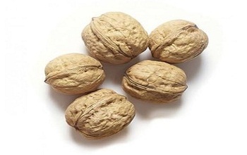 Walnut