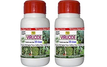 Virucides