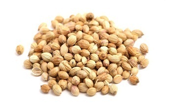 Coriander