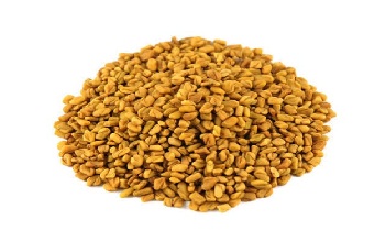 Fenugreek